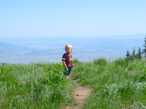 Tory at 9000 ft Tory hikes above Park City, Utah