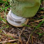 The classic baby shoe. There's no more...