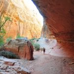 Grand Wash mini alcove