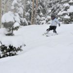 Powder Day