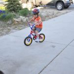 Round and round he goes