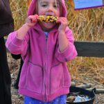 Aspen tries to eat Indian corn. Yummy. Crunchy.
