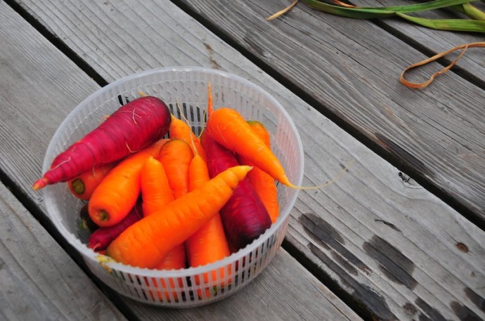 Veggies!